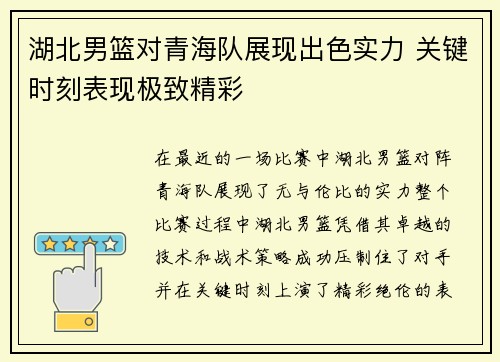 湖北男篮对青海队展现出色实力 关键时刻表现极致精彩