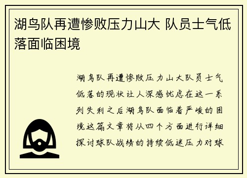 湖鸟队再遭惨败压力山大 队员士气低落面临困境