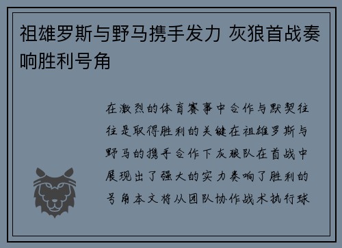 祖雄罗斯与野马携手发力 灰狼首战奏响胜利号角